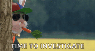 A Cat With Sunglasses And A Hat Is Eating A Carrot With The Words Time To Investigate Below It GIF