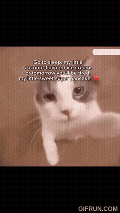 A Cat With The Words Go To Sleep My Little Coconut Flavored Ice Cream GIF