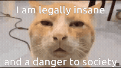 A Cat With The Words " I Am Legally Insane And A Danger To Society " GIF