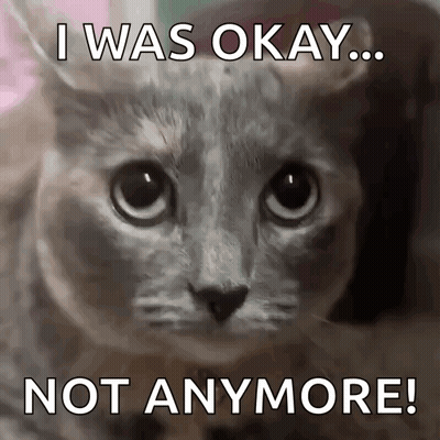 A Cat With The Words I Was Okay Not Anymore On It GIF
