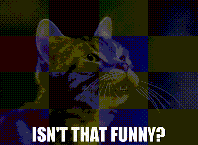 A Cat With The Words Isn 'T That Funny Written Below It GIF