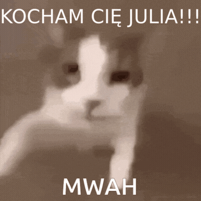 A Cat With The Words Kocham Cie Julia Written Above It GIF