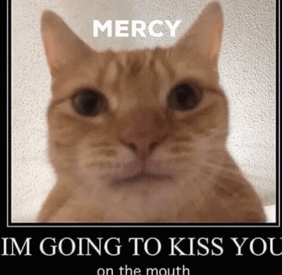 A Cat With The Words `` Mercy I 'M Going To Kiss You On The Mouth '' Written On It 'S Face . GIF