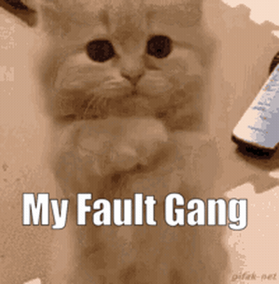 A Cat With The Words My Fault Gang On Its Face GIF