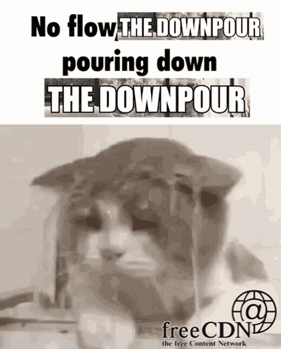 A Cat With The Words No Flow The Downpour Pouring Down The Downpour On It GIF