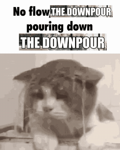 A Cat With The Words " No Flow The Downpour Pouring Down The Downpour " On It GIF