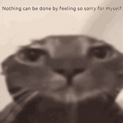 A Cat With The Words Nothing Can Be Done By Feeling So Sorry For Myself On The Bottom GIF