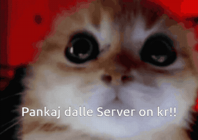 A Cat With The Words Pankaj Dalle Server On Kr Written Below It GIF