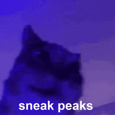 A Cat With The Words Sneak Peaks Written On It GIF