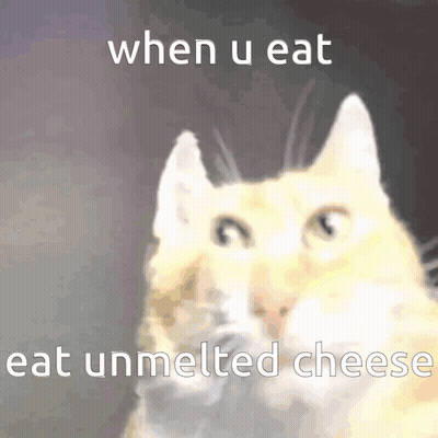 A Cat With The Words " When U Eat Eat Unmelted Cheese " On The Bottom GIF
