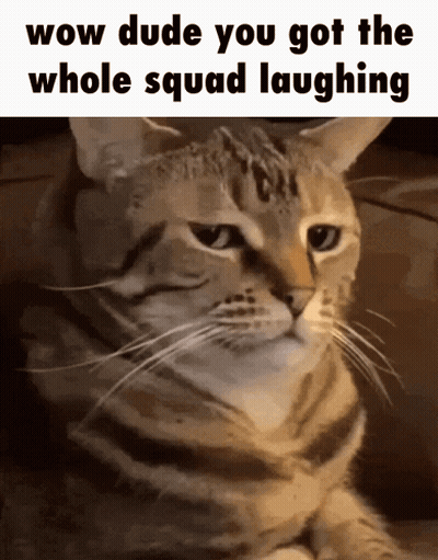 A Cat With The Words Wow Dude You Got The Whole Squad Laughing GIF