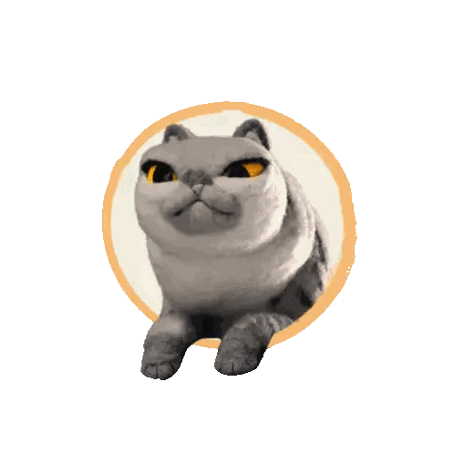 A Cat With Yellow Eyes Is Sitting In A Circle On A White Background Sticker