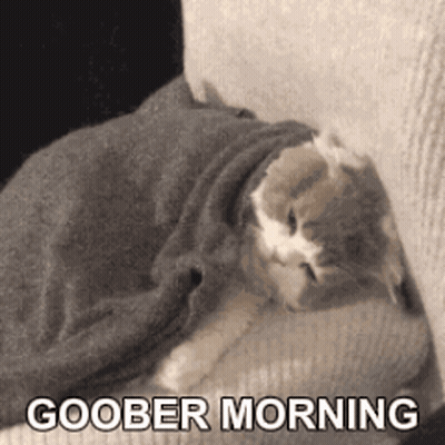A Cat Wrapped In A Blanket On A Couch With The Words Goober Morning Above It . GIF