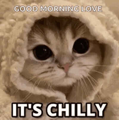 A Cat Wrapped In A Blanket With The Words `` Good Morning Love It 'S Chilly '' . GIF