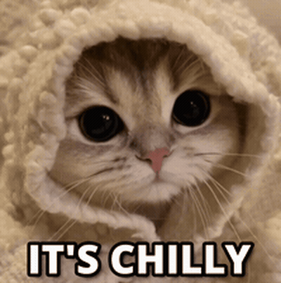 A Cat Wrapped In A Blanket With The Words " It 'S Chilly " Written Below It GIF