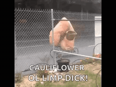 A Cauliflower Is Sitting In Front Of A Chain Link Fence And Says Cauliflower Ol Limp Dick . GIF