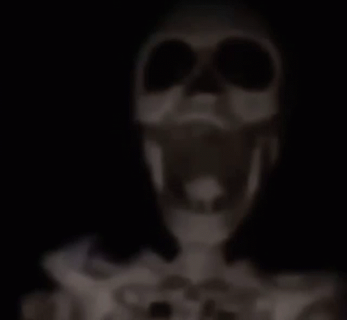 A Ceiling Fan Is Hanging From The Ceiling In A Blurry Photo . GIF