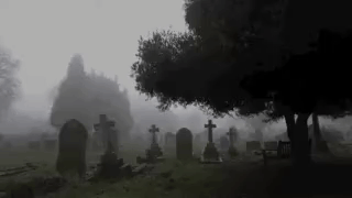 A Cemetery In The Fog With Trees And Graves GIF