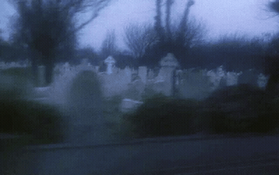 A Cemetery With A Lot Of Graves And Trees In The Fog . GIF