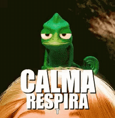 A Chameleon Is Sitting On Top Of A Woman 'S Head With The Words " Calma Respira " Written Below It GIF