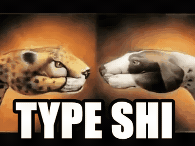 A Cheetah And A Dog Are Looking At Each Other With The Words Type Shi Written Above Them GIF