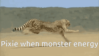 A Cheetah Is Running In The Desert With The Words Pixie When Monster Energy Below It GIF