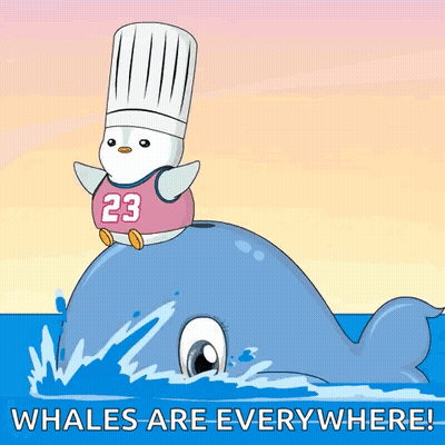 A Chef Penguin Is Riding On The Back Of A Whale With The Words " Whales Are Everywhere " GIF