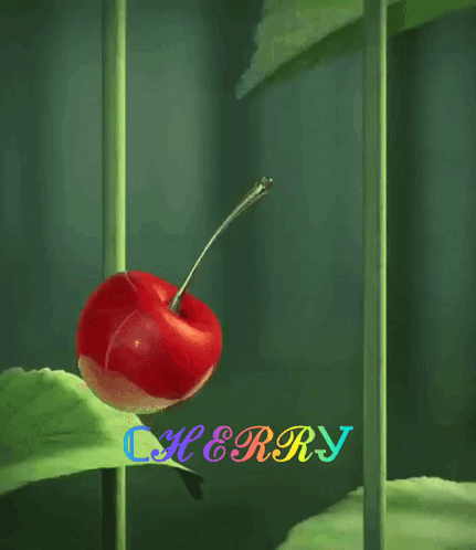 A Cherry Is On A Green Leaf With The Word Cherry Behind It GIF