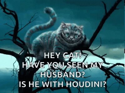 A Cheshire Cat From Alice In Wonderland Is Sitting On A Tree Branch Asking If He Has Seen His Husband GIF