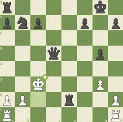 A Chess Board With A King And A Pawn On It GIF