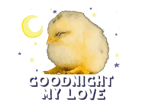 A Chick Says Goodnight My Love In Front Of A Moon And Stars Sticker