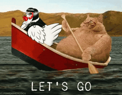 A Chicken And A Cat Are In A Boat With The Words Let 'S Go GIF