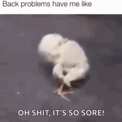 A Chicken Is Crawling On The Ground With The Words `` Back Problems Have Me Like Oh Shit , It 'S So Sore '' GIF