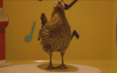 A Chicken Is Standing On A White Plate In Front Of A Yellow Background GIF