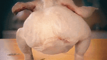 A Chicken Is Standing On Its Hind Legs On A Table And Looking At The Camera . GIF