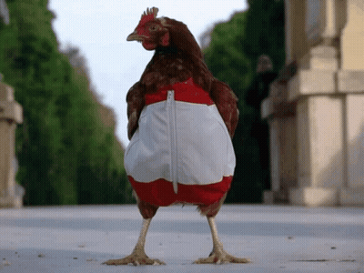 A Chicken Is Wearing A Red And White Jacket With A Zipper GIF