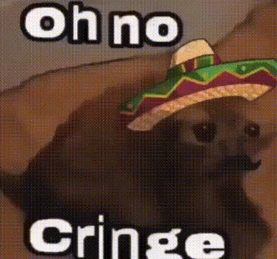 A Chihuahua Wearing A Sombrero With The Words `` Oh No Cringe '' Written On It . GIF