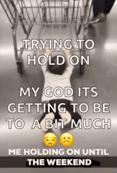 A Child Is Crawling On The Floor Next To A Shopping Cart With The Caption Trying To Hold On GIF