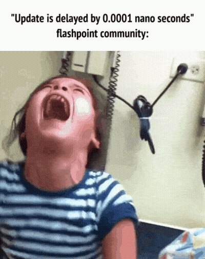 a child is crying with the words " update is delayed by 0.0001 nano seconds " flashpoint community