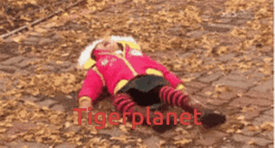 A Child Is Laying On The Ground With The Words Tigerplanet Written In Red GIF