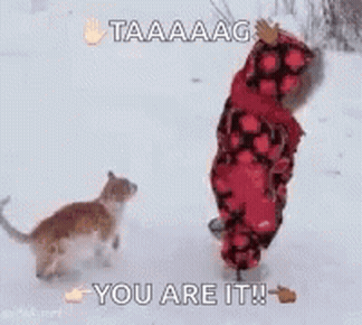 A Child Is Playing With A Cat In The Snow And Says You Are It ! GIF