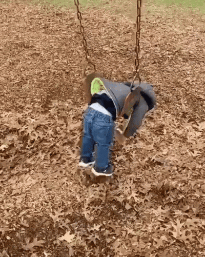 A Child Is Sitting On A Tire Swing In A Park . GIF