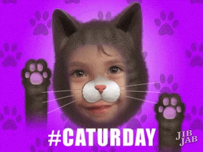A Child Is Wearing A Cat Mask With Paws And The Words #Caturday Written Below It GIF