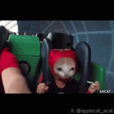 A Child Wearing A Red Helmet Is Riding A Roller Coaster .. GIF