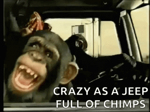 A Chimpanzee Is Driving A Jeep With The Words Crazy As A Jeep Full Of Chimps Below It GIF
