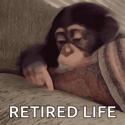 A Chimpanzee Is Pointing At Something With The Words `` Retired Life '' Written Below It . GIF