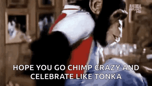 A Chimpanzee Is Sitting On A Person 'S Shoulders With The Words Hope You Go Chimp Crazy And Celebrate Like Tonka GIF