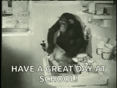A Chimpanzee Is Sitting On A Toilet And Holding A Cell Phone In A Bathroom . GIF