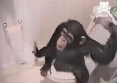 A Chimpanzee Is Sitting On A Toilet With A Skull And Crossbones In The Background GIF