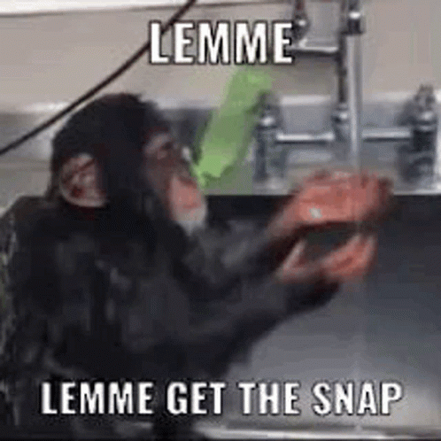 A Chimpanzee Is Washing His Hands In A Sink With A Green Sponge . GIF
